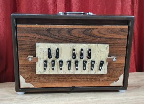 Shruti Box 15"x10"x3", Teak wood and Ply, 440Hz With foam Bag