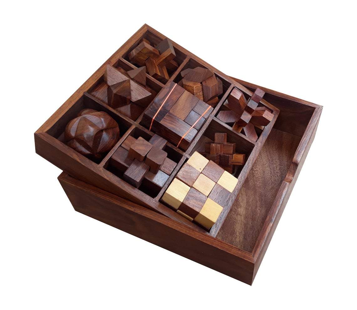 STEM Brain Teaser Puzzle Set- 9 Mechanical Puzzles