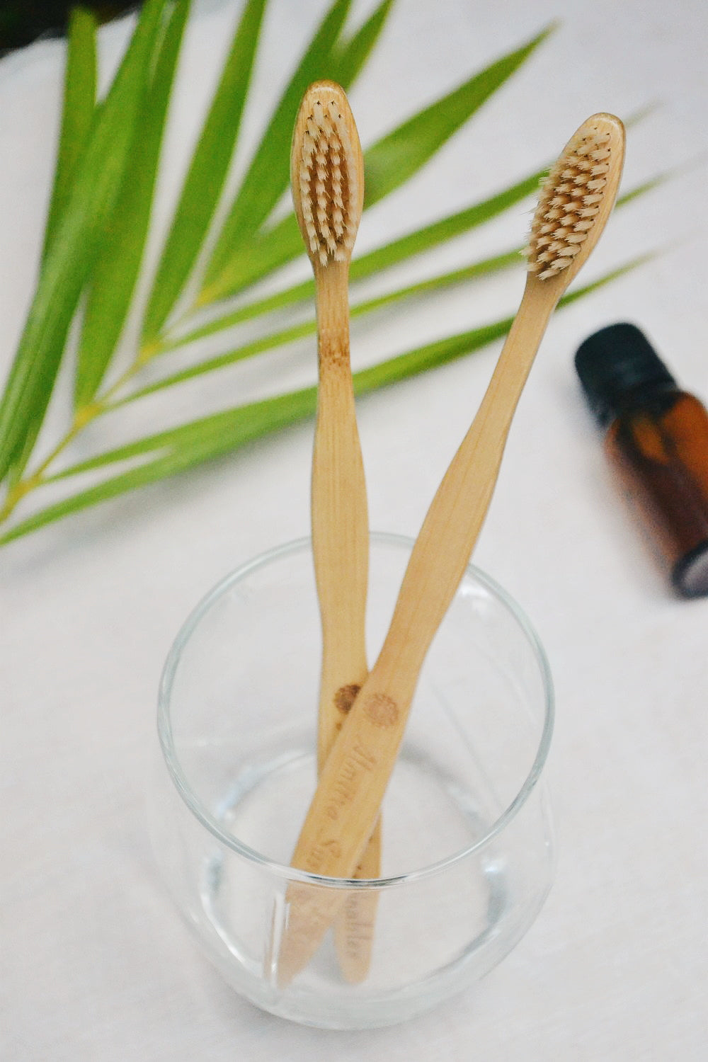 .Bamboo Bristle Toothbrush (Pack of 2)