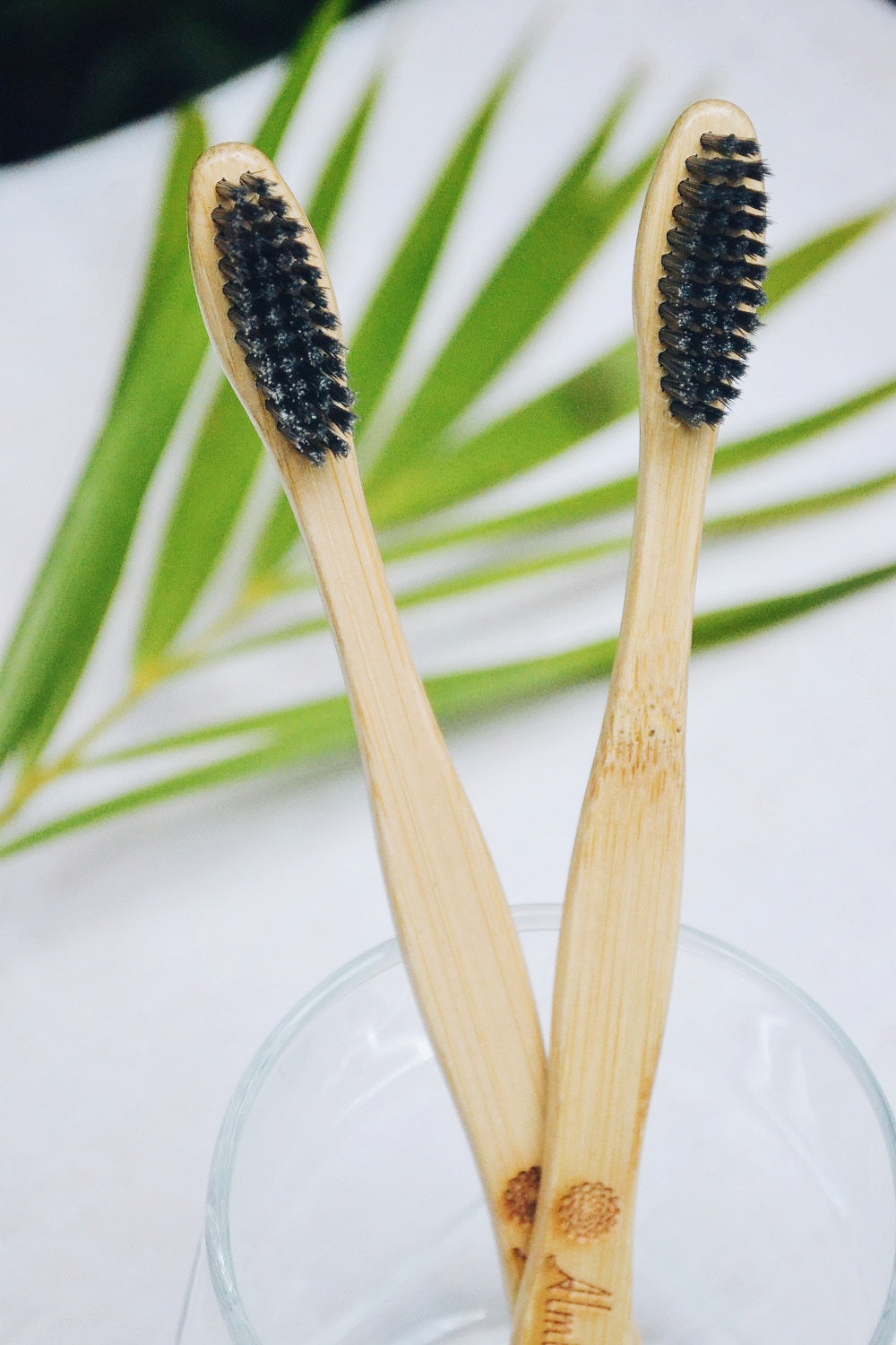 Bamboo Toothbrush - Charcoal (Pack of 2)