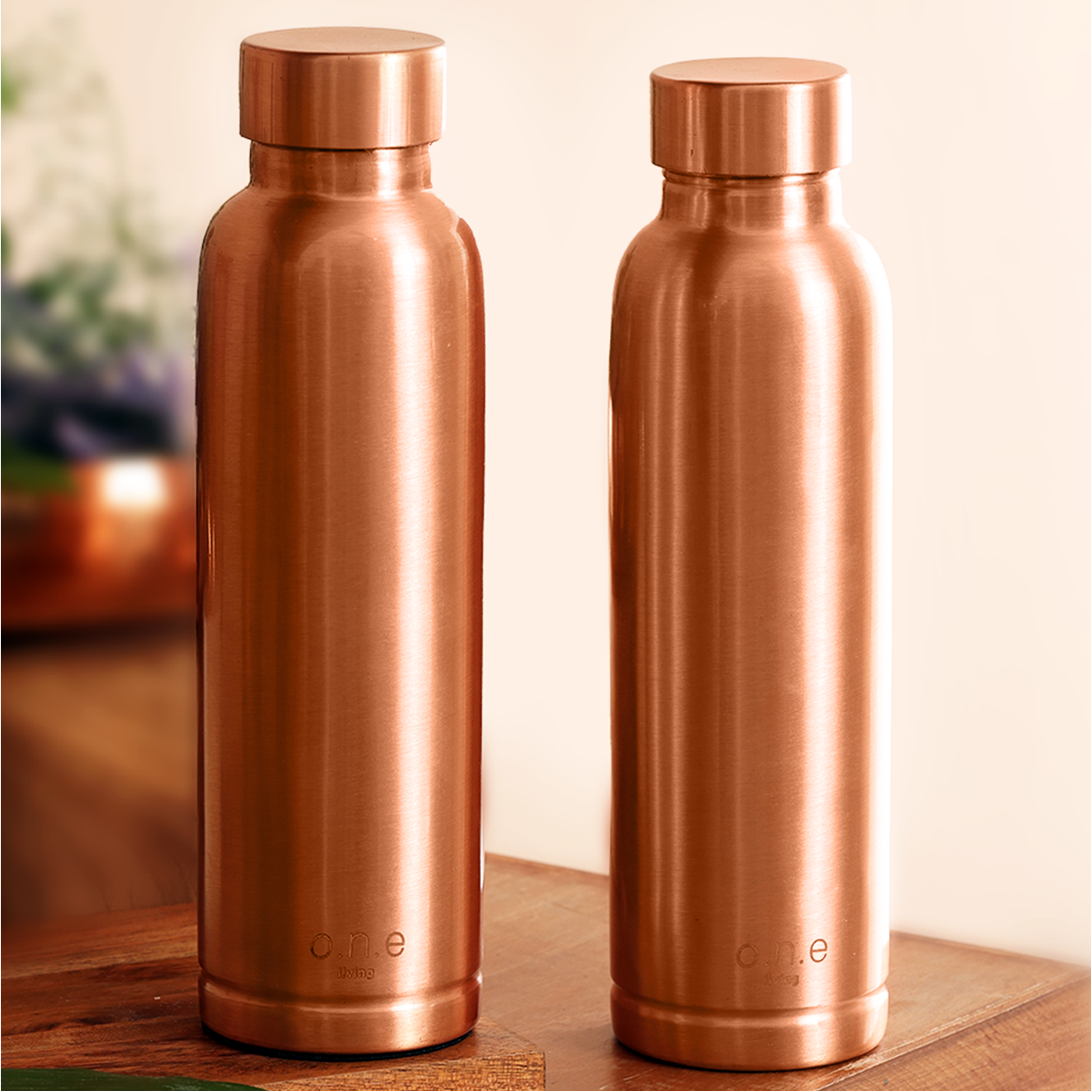 Copper Water Bottles | Set of 2 | 1 L | Plain | BPA Free