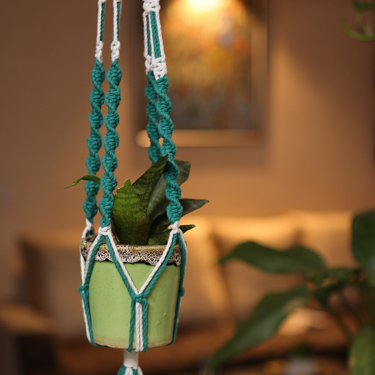 Cotton Macrame Plant Holder | Teal