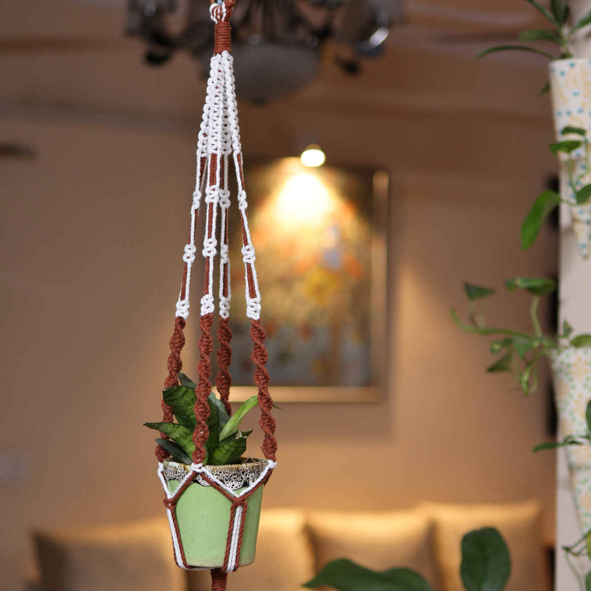 Cotton Macrame Plant Holder | Brown