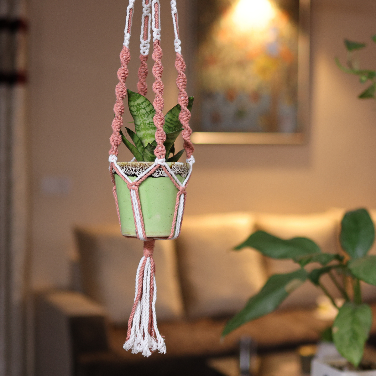 Cotton Macrame Plant Holder | Peach