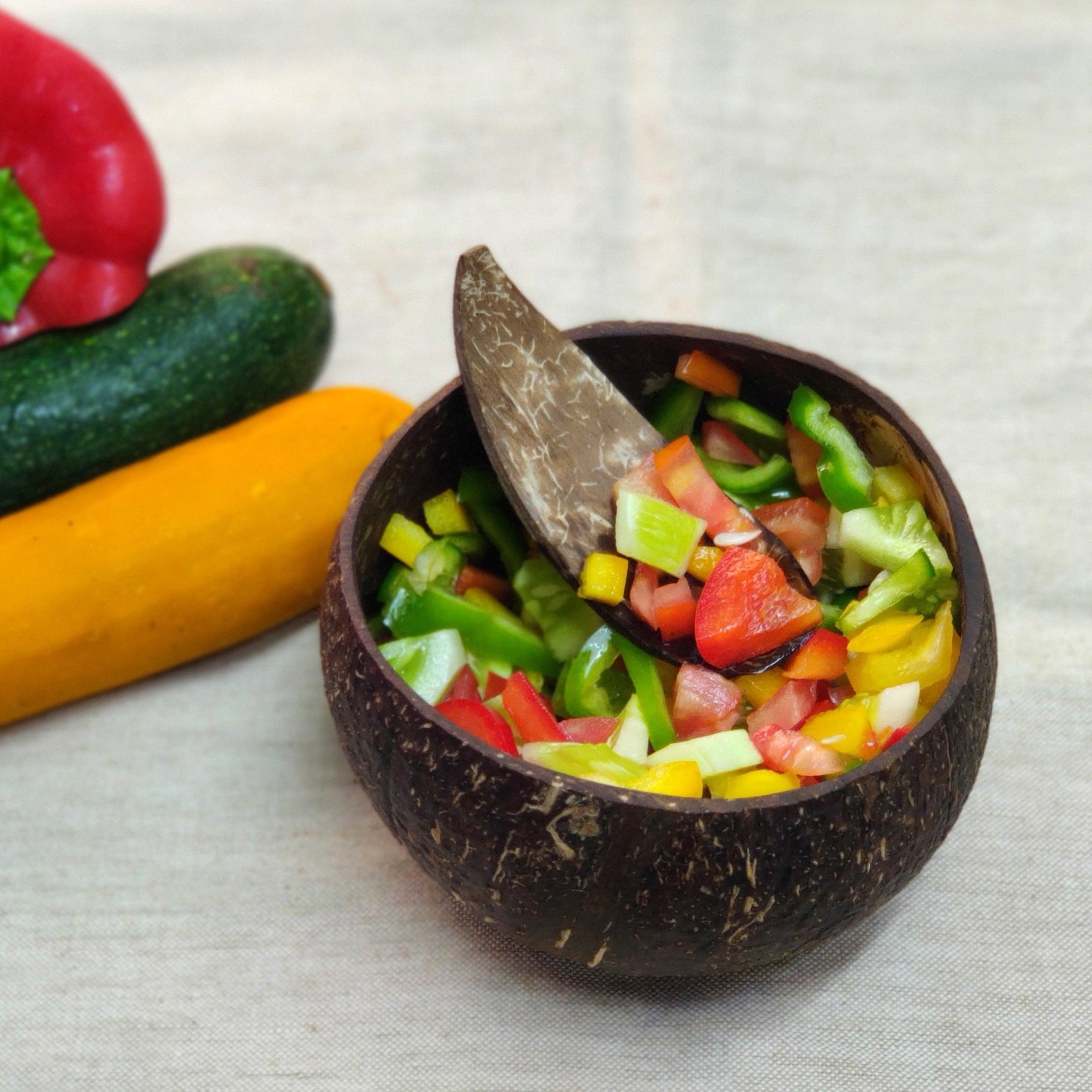 Coconut Shell Bowls - Set of 2