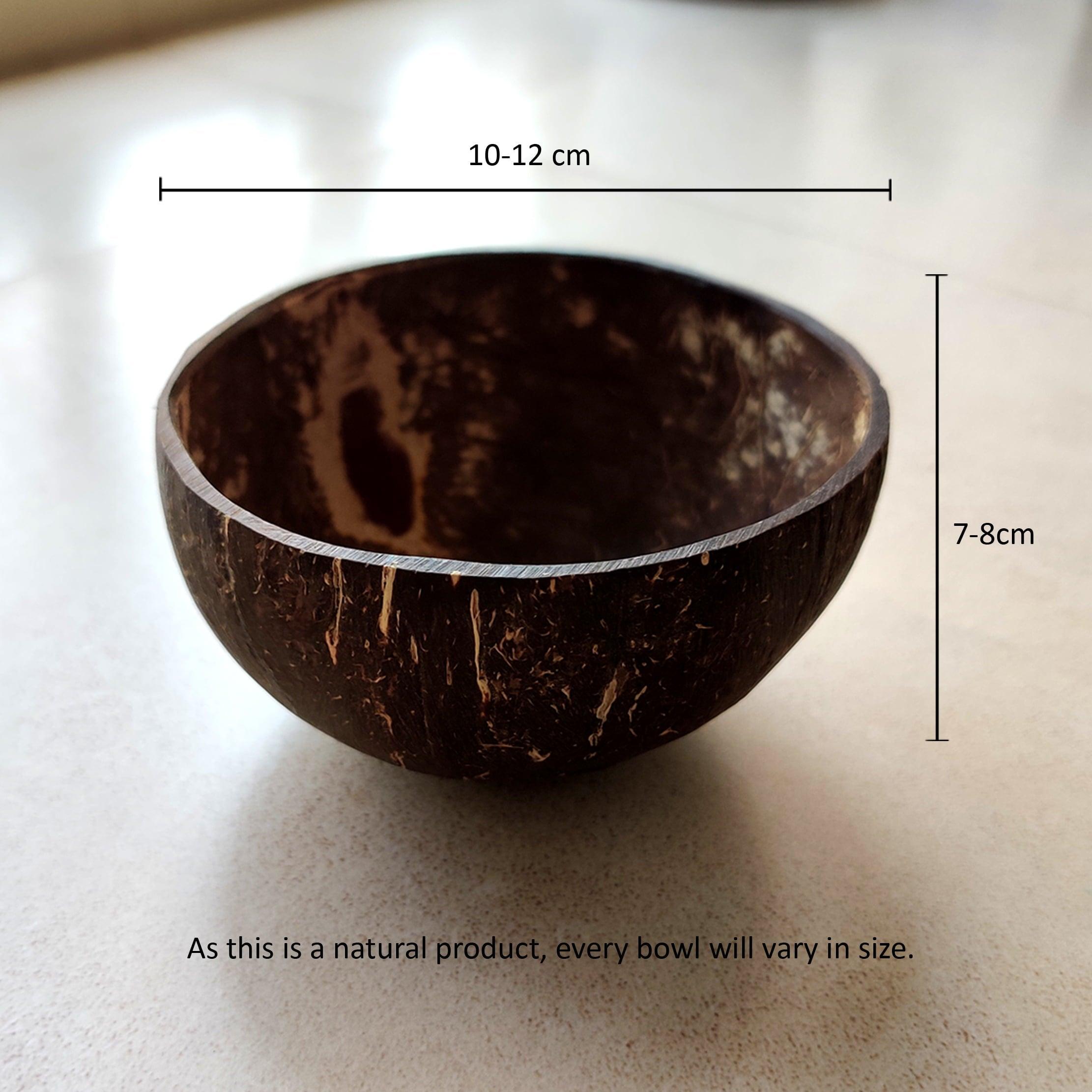 Coconut Shell Bowls - Set of 2