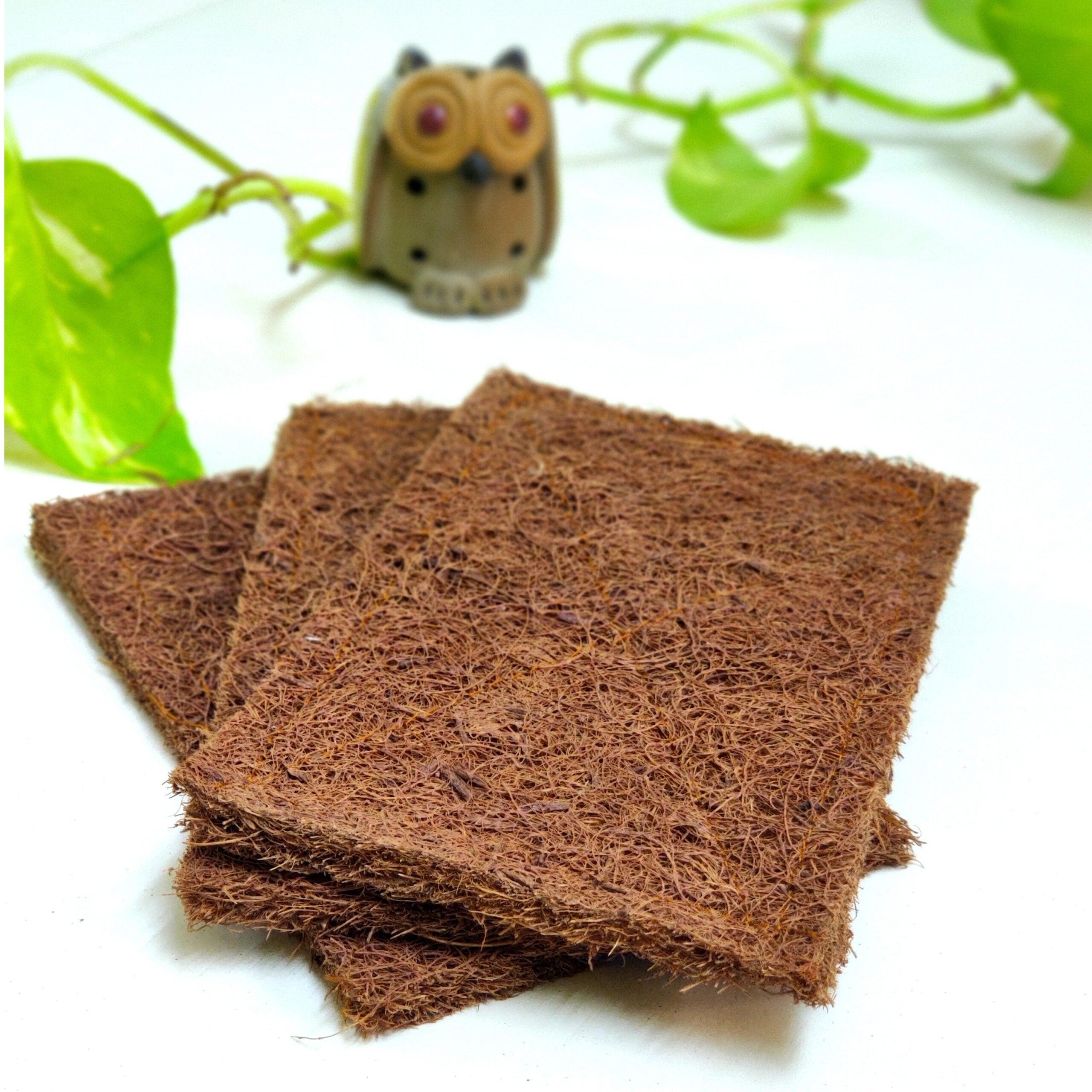 Coir Dish Scrub pads - Pack Of 3 (3"x4")