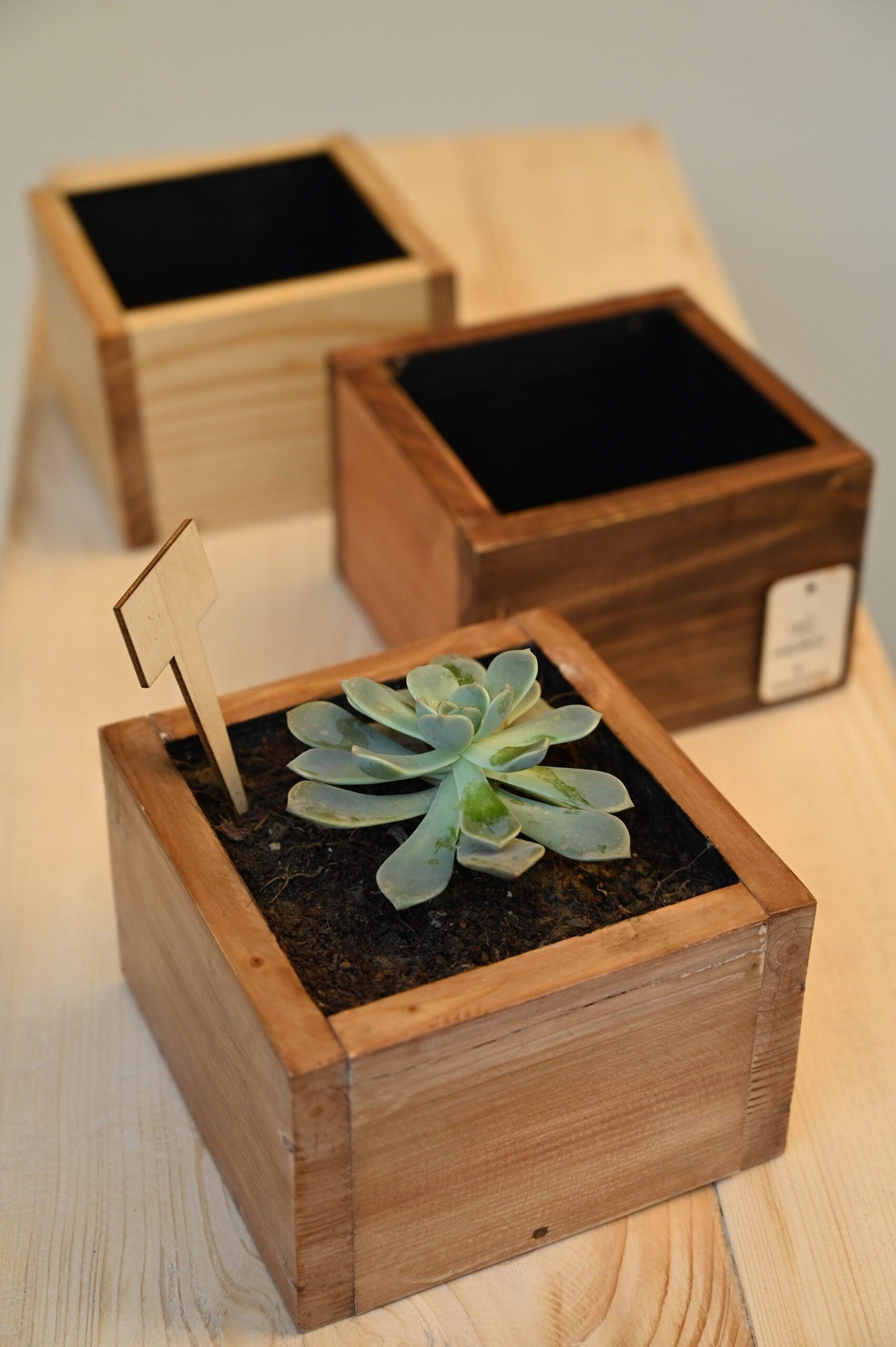 Cube Planter 4" Tall - Hohmgrain