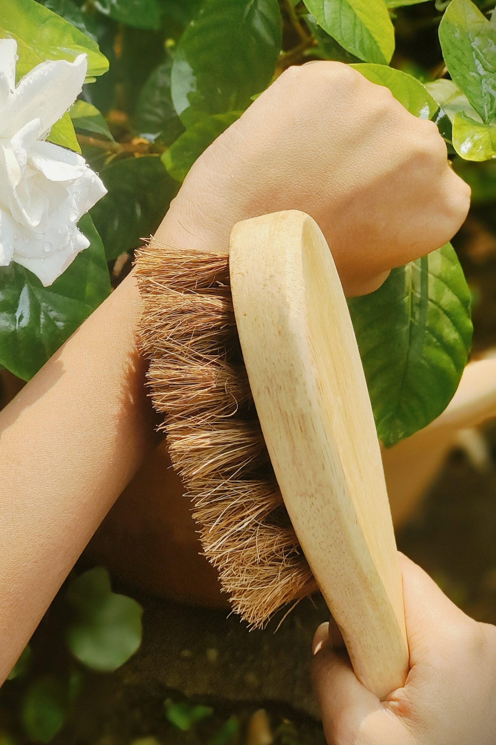 Coconut Fiber - Dry Body Brush