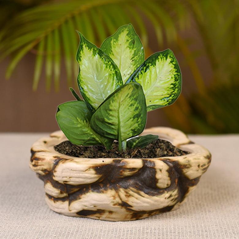 IKrafties Handmade Ceramic Off White &amp; Green Round Shape Planter/Pots for Indoor/Outdoor living