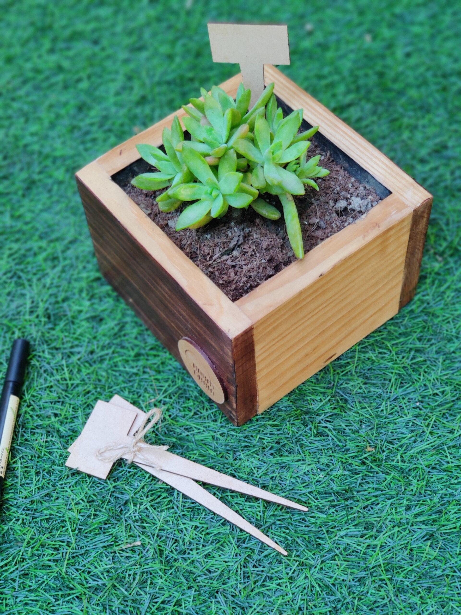 Cube Planter 4" Tall - Hohmgrain