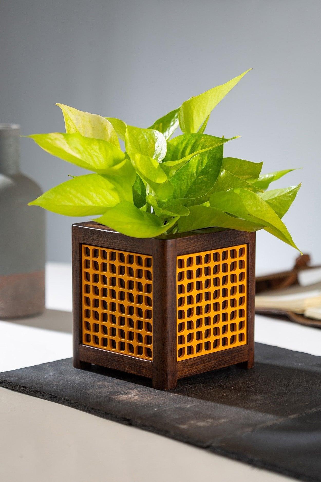 QUBO Musturd Leafy Handmade Wooden Indoor Planter Geometric Pattern Durable Plant Pot