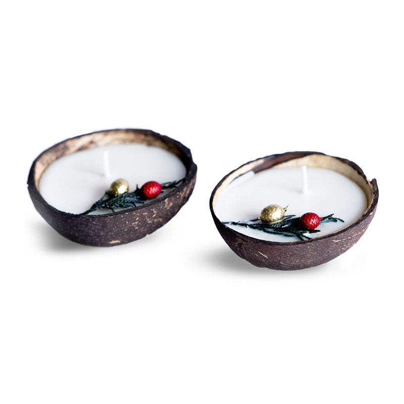 Coconut Shell Soy Wax Scented Candle | 100 g | Set of 2