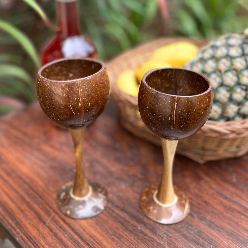 Coconut Shell Wine Glasses | Handmade | Set of 2