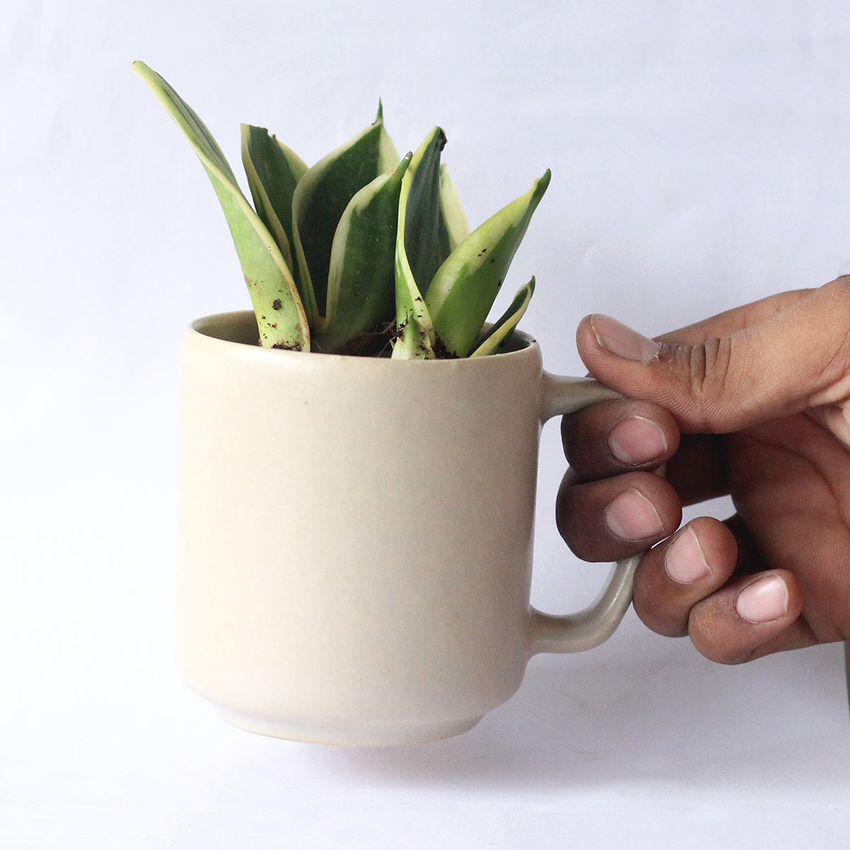 Abha Recycled Ceramic Desk Planter with Holder