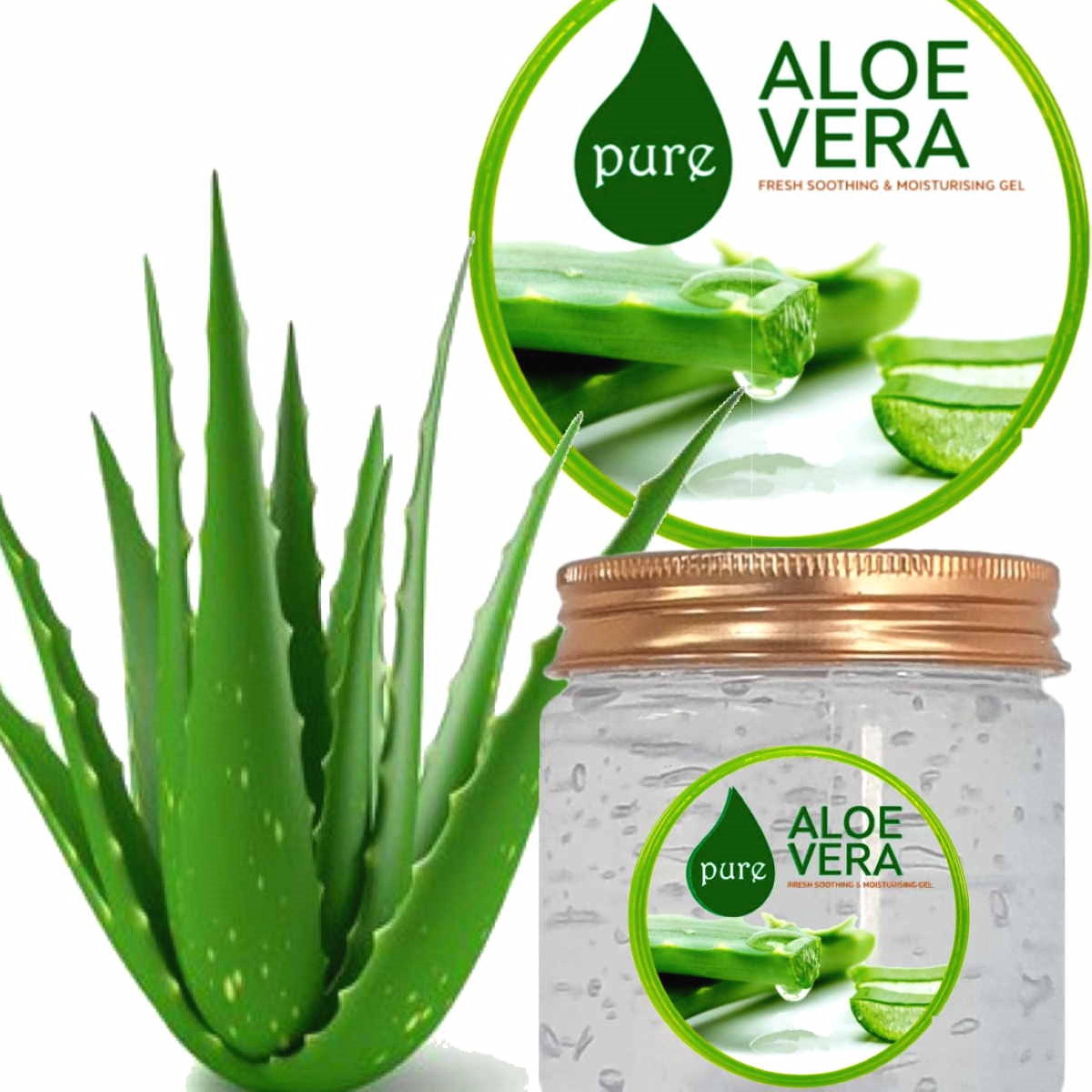 Pure Aloe Vera Gel | Skin & Hair - 100 g