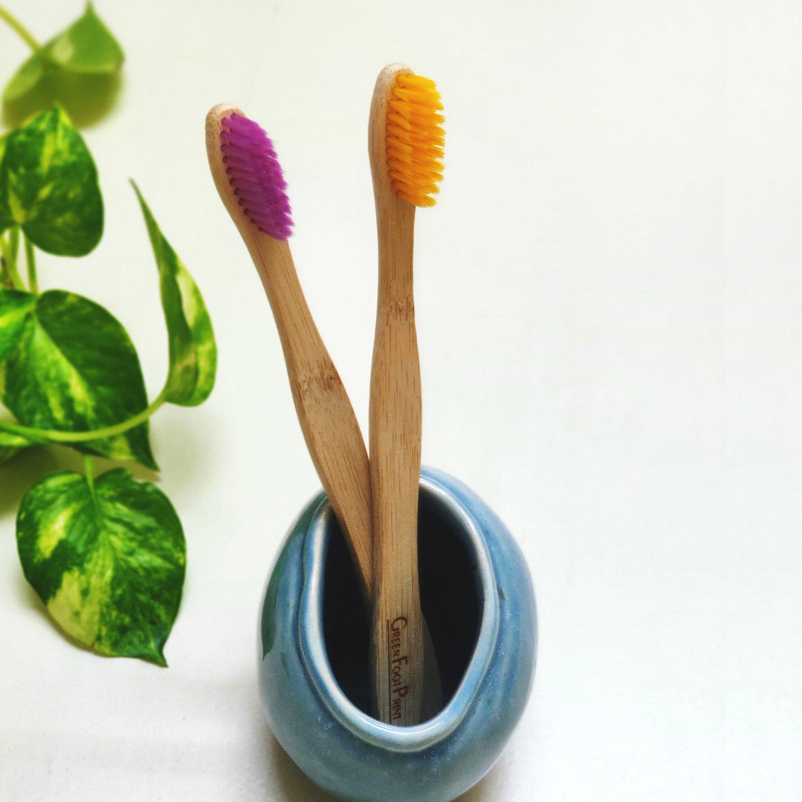 Natural Bamboo Toothbrush - Pack of 2 (Assorted)