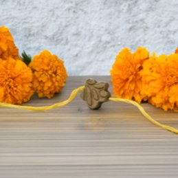 Blooming Bond flower Shape Eco-Friendly Rakhi with Free Roli & Seeds!