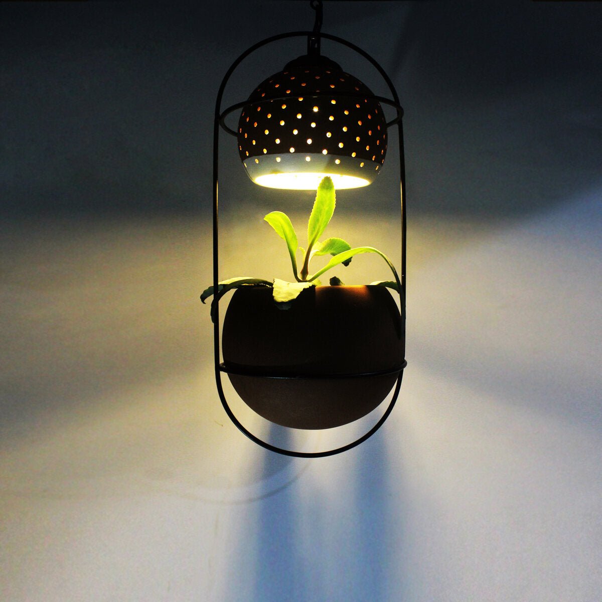 Breathing- Hanging Balcony Planter- Green Light