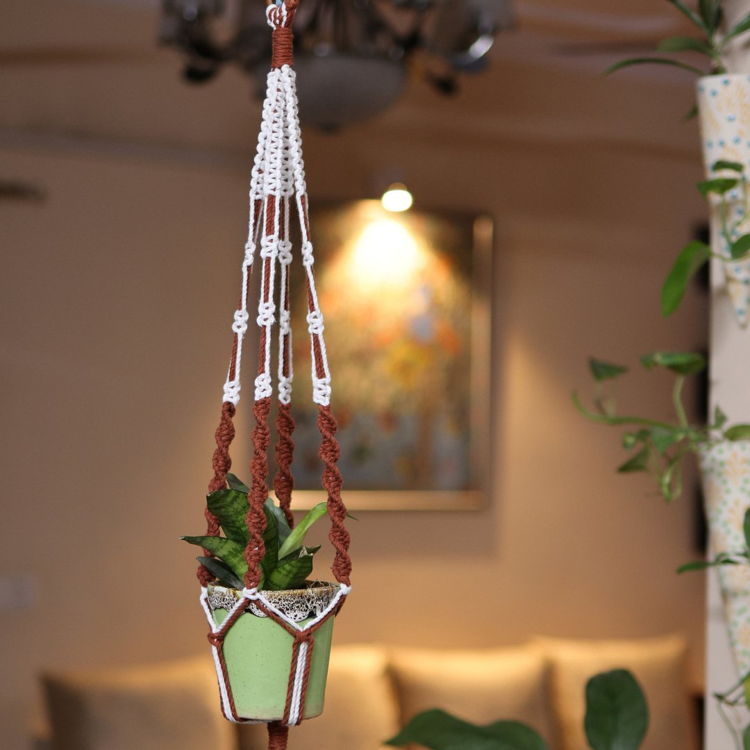 Brown Web Macrame Plant Holder