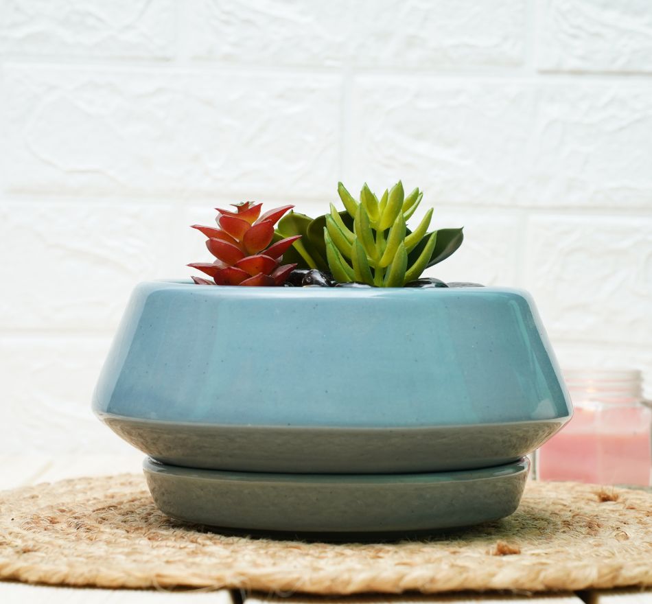 Ceramic Bonsai Pots for Plants | Grey