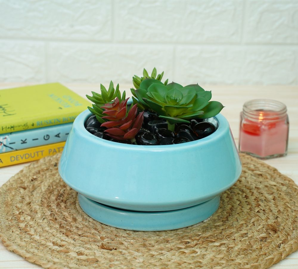 Ceramic Bonsai Pots for Plants | Sky Blue