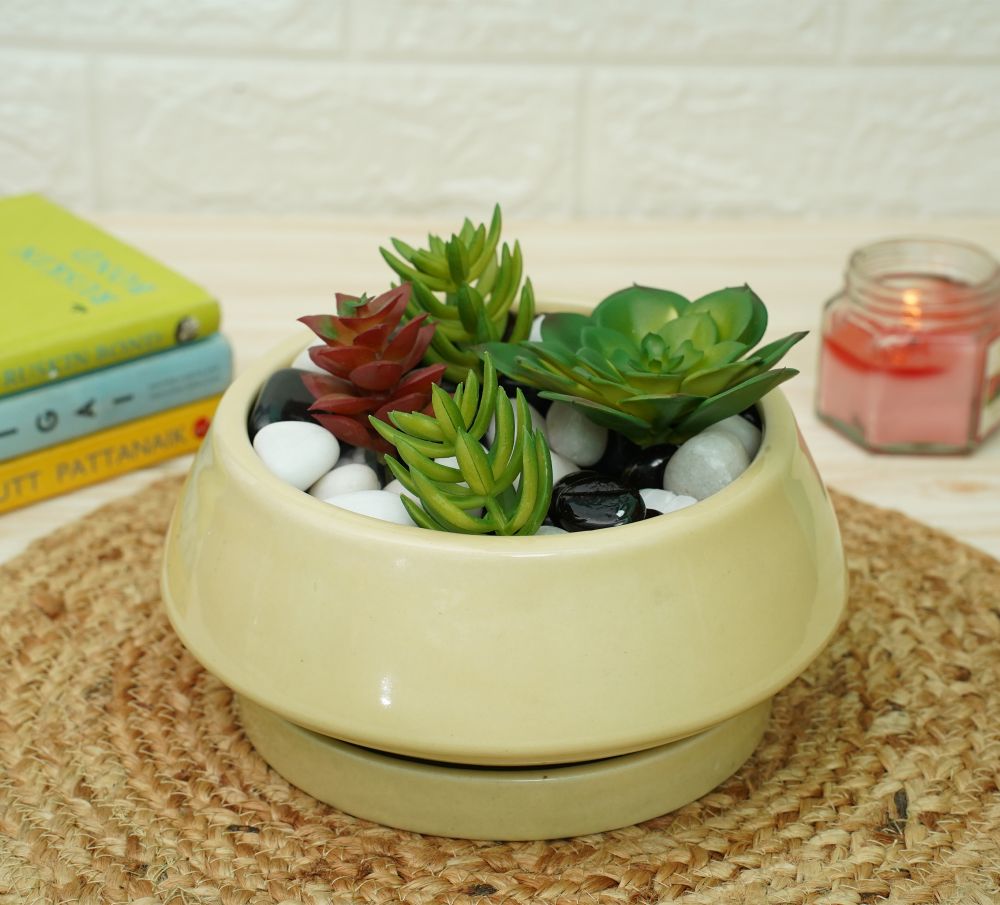 Ceramic Bonsai Pots for Plants | Yellow