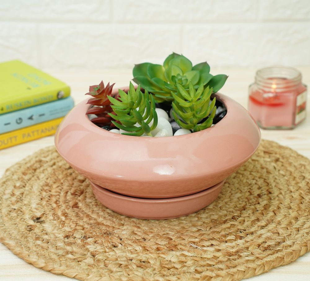 Ceramic Succelent Pots for Plants | Pink