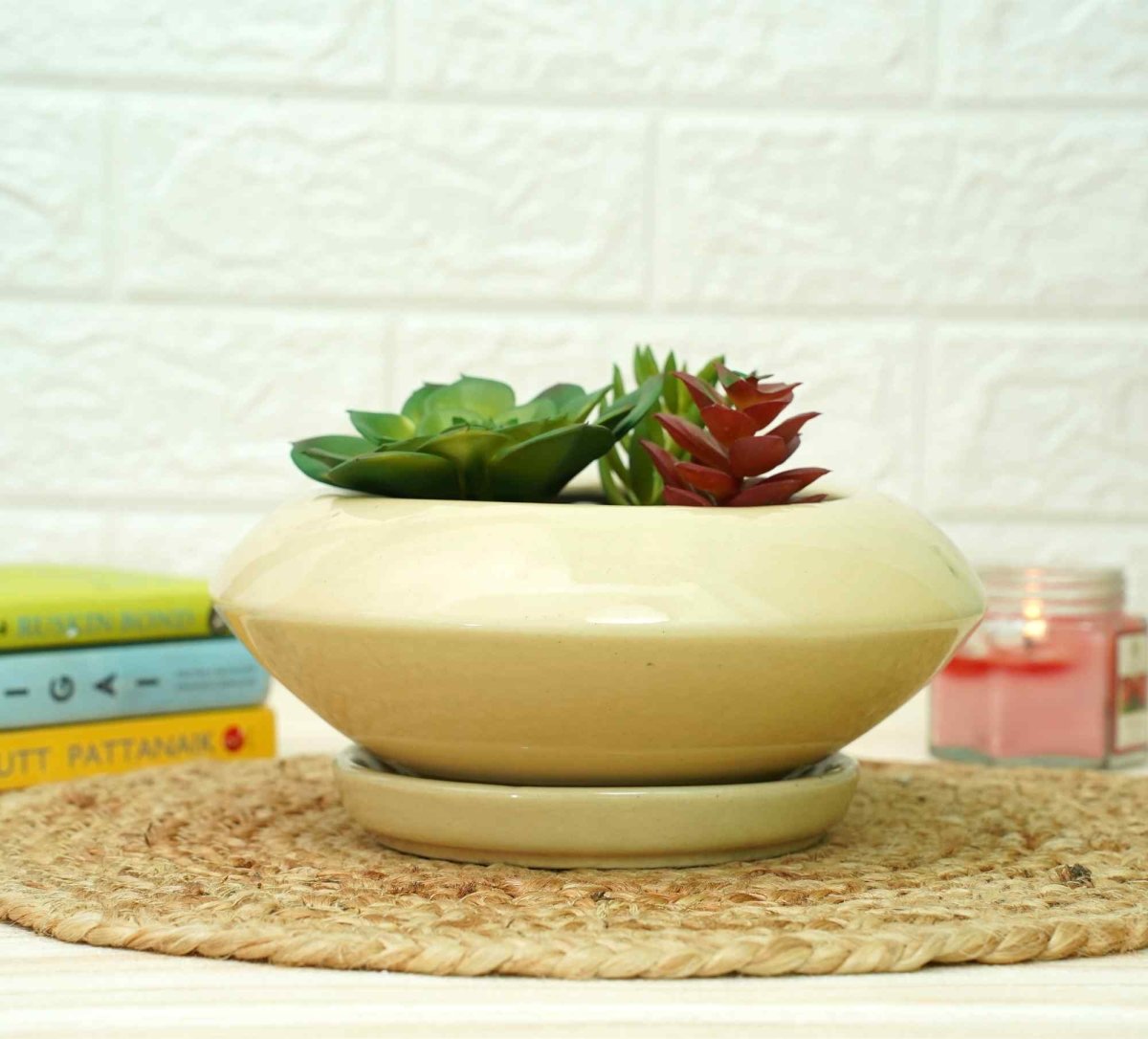 Ceramic Succelent Pots for Plants | Yellow