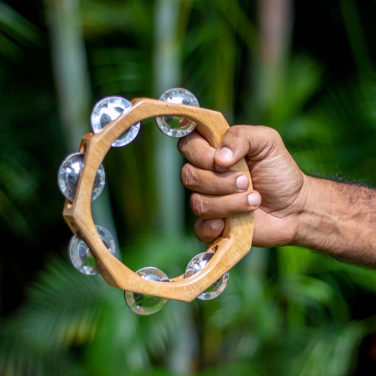 Circular Tambourine