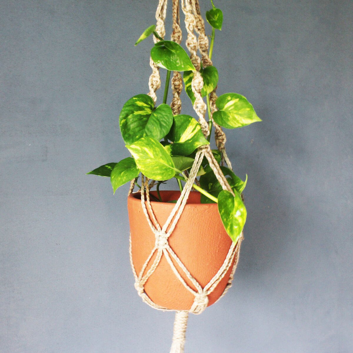 Classic Terracotta Planter with Jute Macrame Hanger Design 2