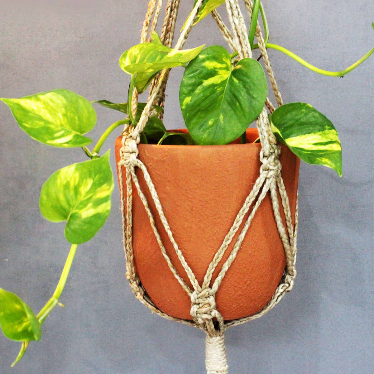 Classic Terracotta Planter with Jute Macrame Hanger Design 3