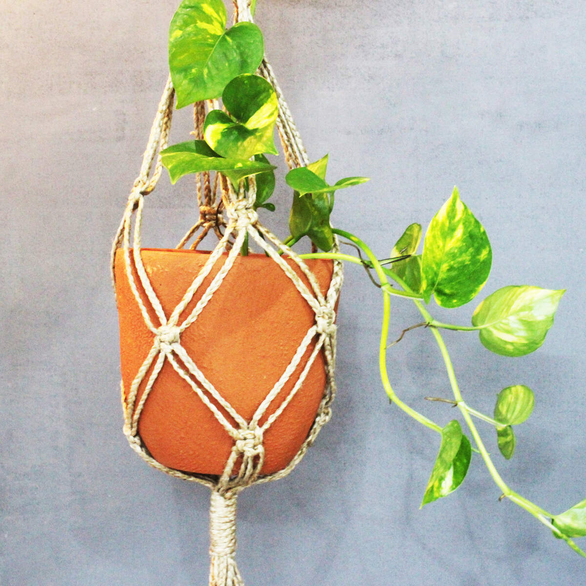 Classic Terracotta Planter with Jute Macrame Hanger Design 4