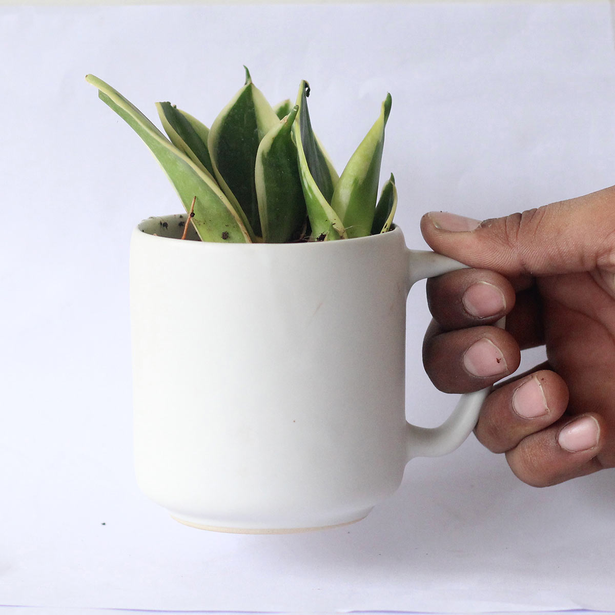 Cloud Recycled Ceramic Planter with holder