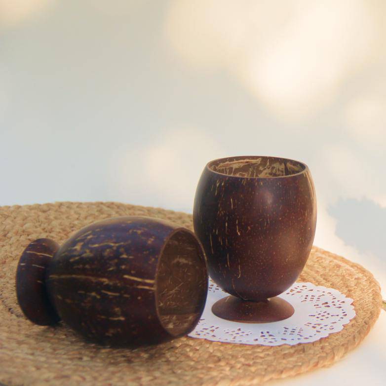 Coconut Juice Cup for Party | Set of 3 | 300 ml each