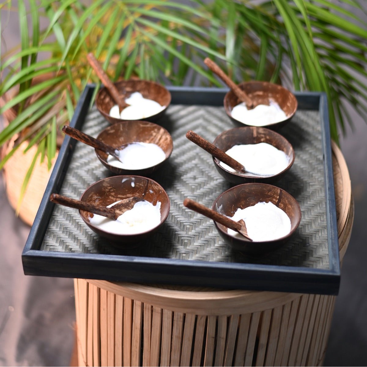 Coconut Shell Bowls with Spoon Set With Tray