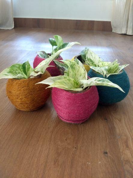 Coconut Shell Planter woven with Jute thread