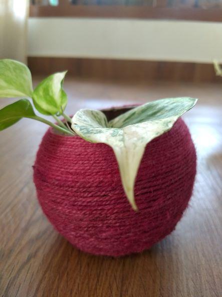 Coconut Shell Planter woven with Jute thread