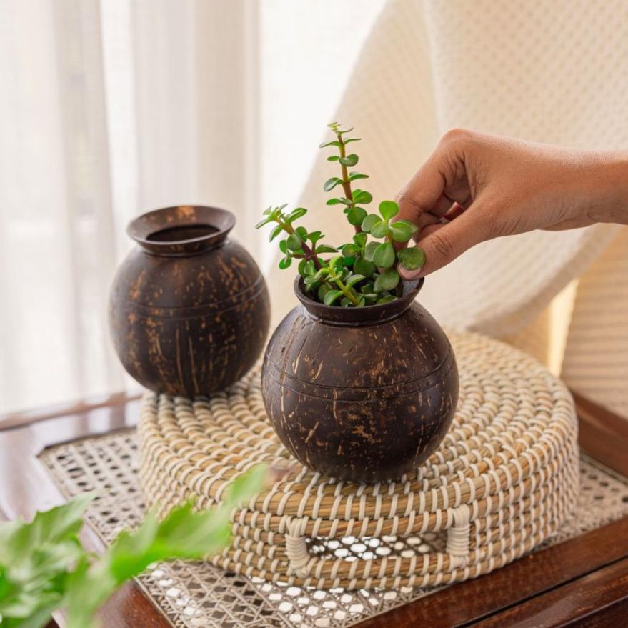 Coconut Shell Pot Shaped Planter Pots | Ideal for Small Plants (Set of 1)