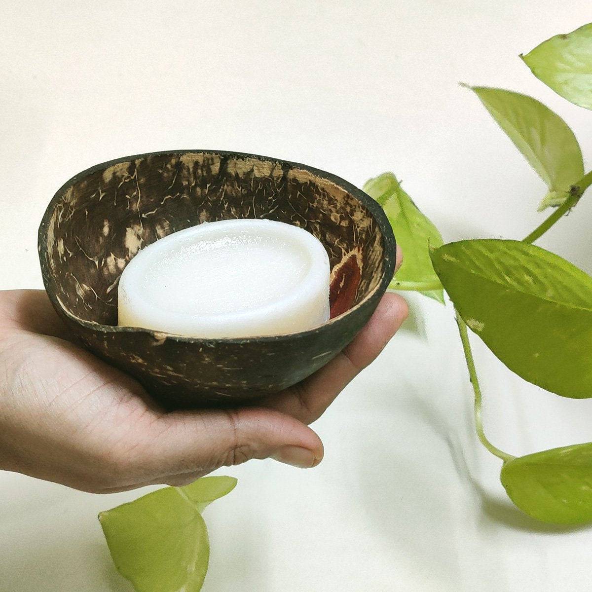 Coconut Shell Soap Dish