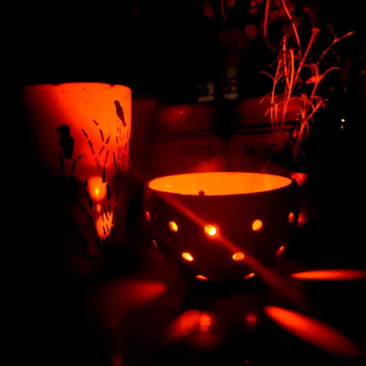 Coconut Shell Tea light Holder | Candle holder