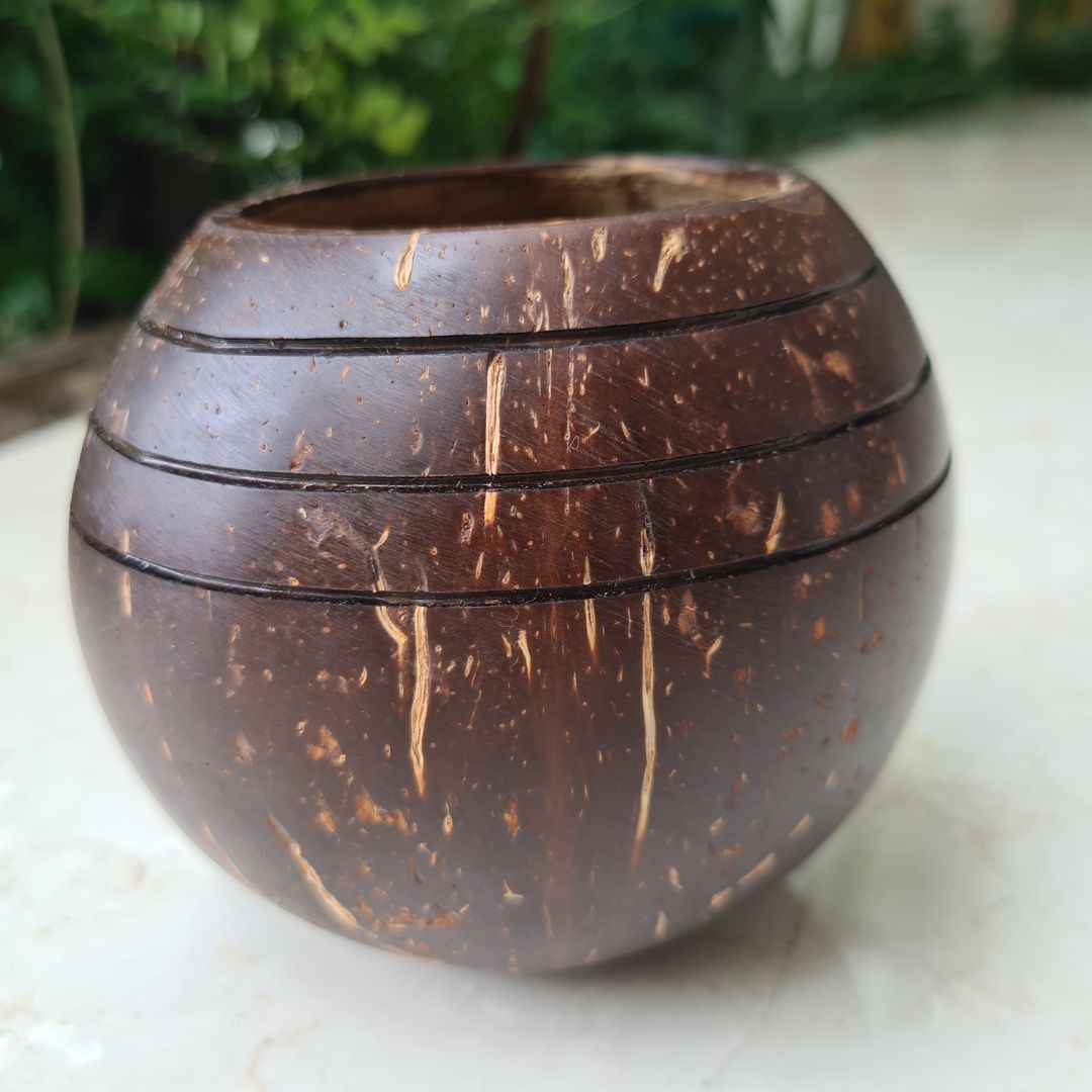 Coconut Shell Three line Planter Pots | Ideal for Small Plants (Set of 1)