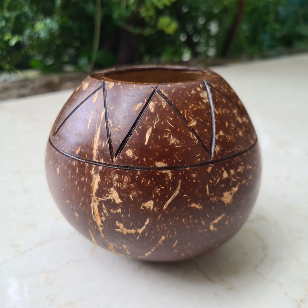 Coconut Shell Zig Zag Planter Pots | Ideal for Small Plants (Set of 1)