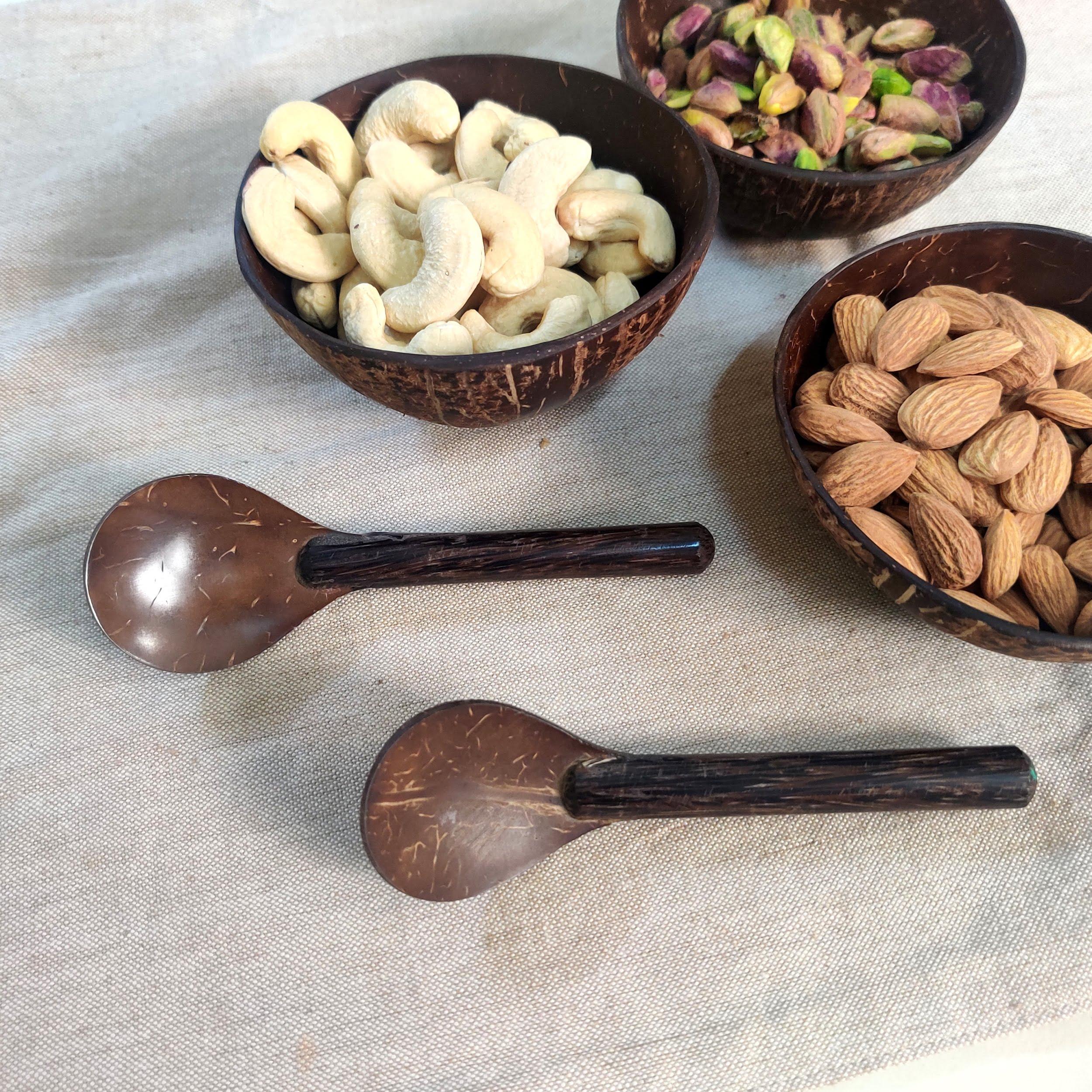 Coconut Shell Spoons- set of 6