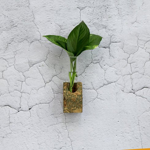 Cork Tapered Fridge Planter