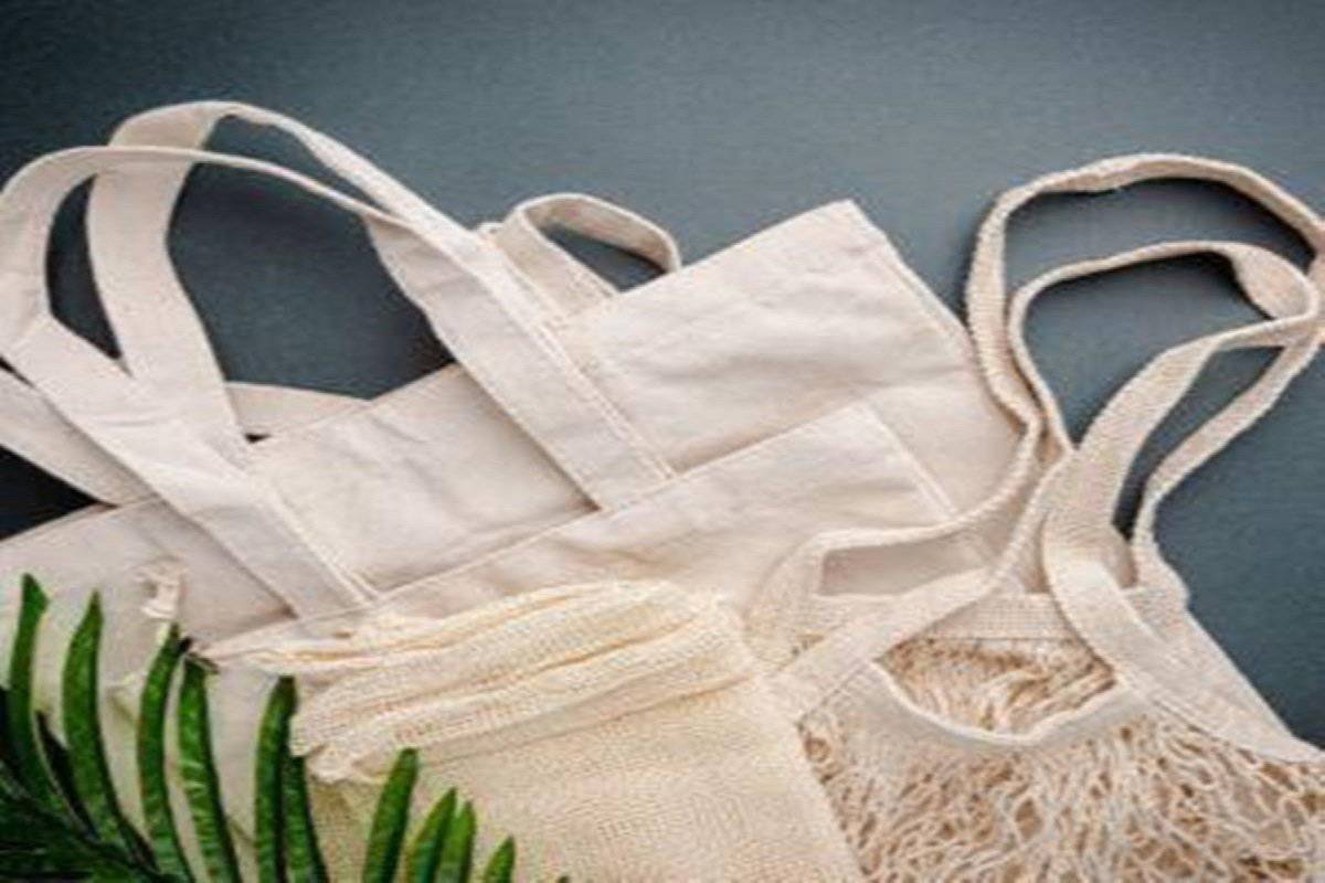 Cotton Refrigerator Mesh Bags - Set of 3