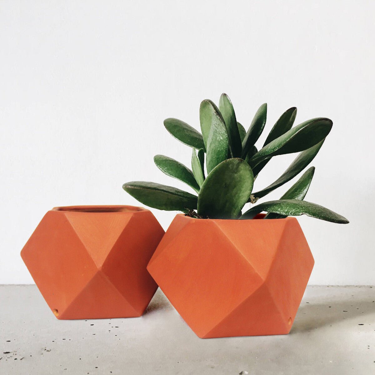 D'MOND-3 Terracotta Planter- Set of 2 | Home Decor