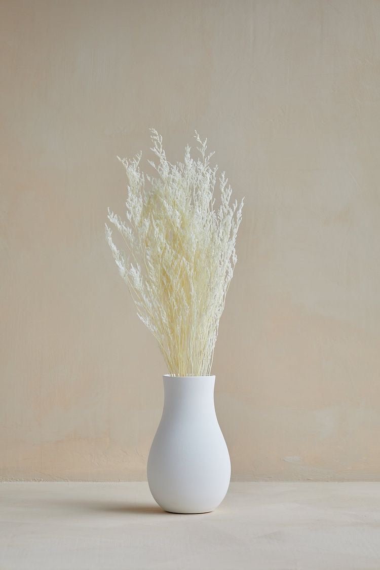 Dried Limonium White