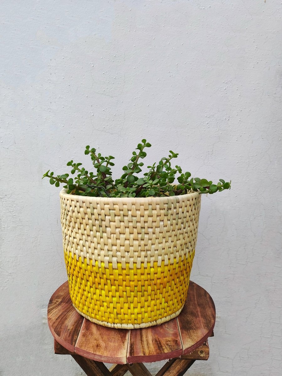 Dual Color Moonj Grass Planter - Natural Golden & Yellow