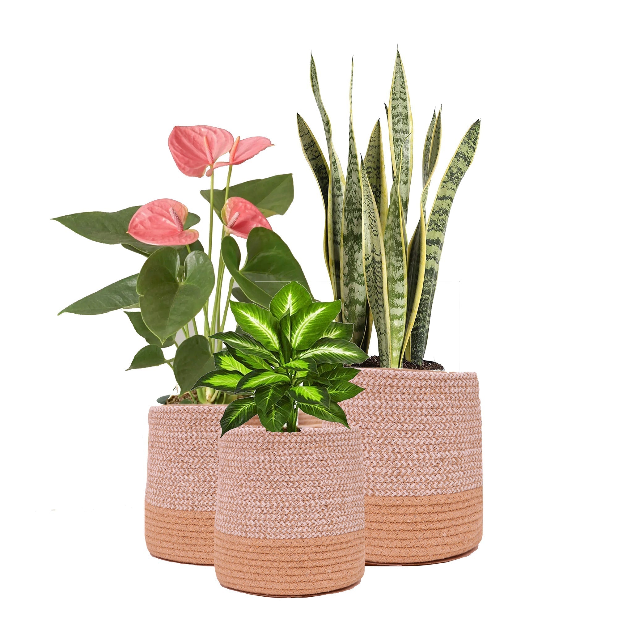 Dual Tone Jute Baskets - Set of 3